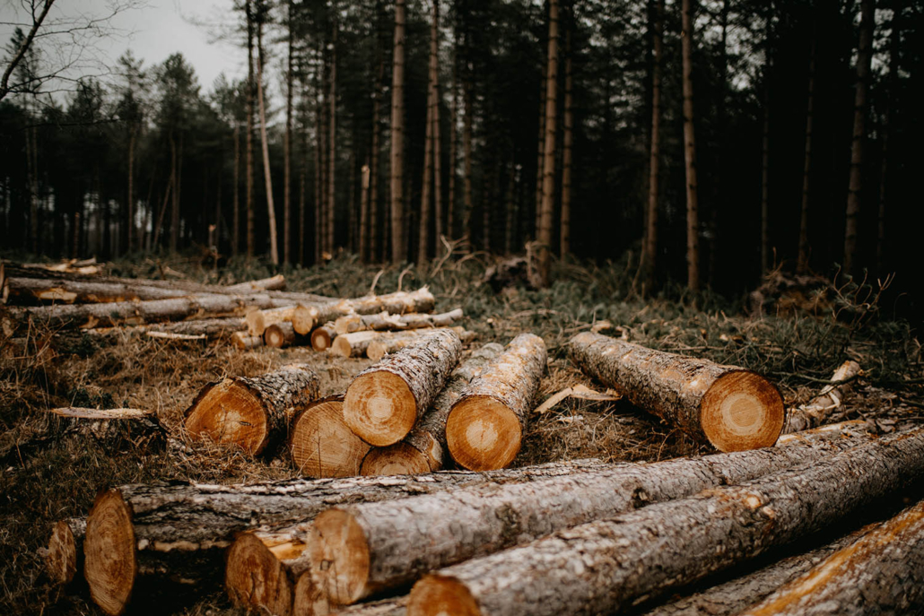 Digital cards help the environment
